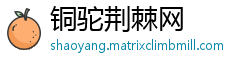 铜驼荆棘网